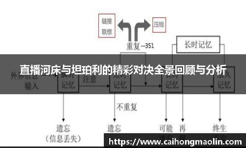 xk星空官方