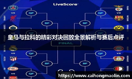 星空xk官网