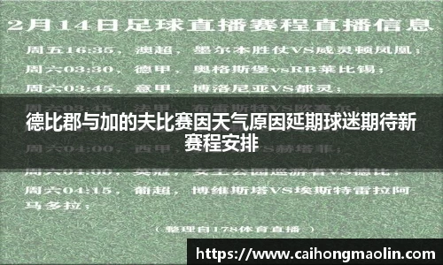 德比郡与加的夫比赛因天气原因延期球迷期待新赛程安排