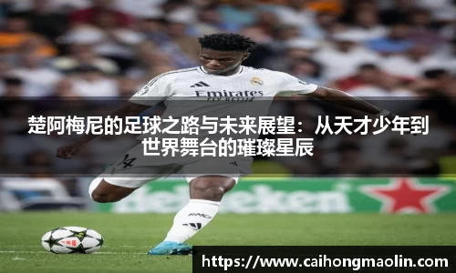 xk星空官方网站