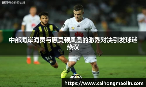 中部海岸海员与惠灵顿凤凰的激烈对决引发球迷热议