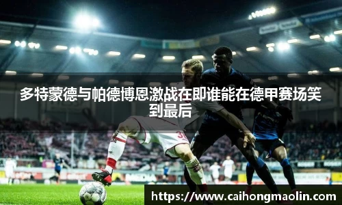 xk星空官方