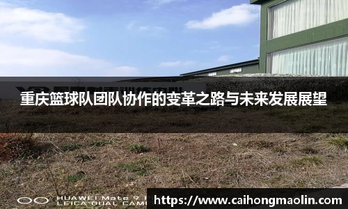 重庆篮球队团队协作的变革之路与未来发展展望