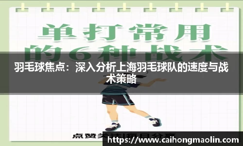 羽毛球焦点:深入分析上海羽毛球队的速度与战术策略