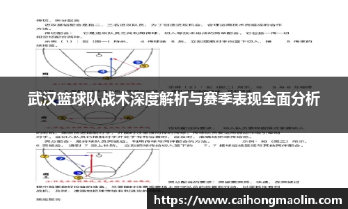 武汉篮球队战术深度解析与赛季表现全面分析