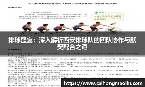 排球盛宴：深入解析西安排球队的团队协作与默契配合之道