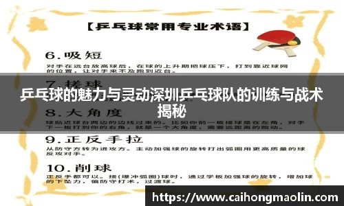 乒乓球的魅力与灵动深圳乒乓球队的训练与战术揭秘