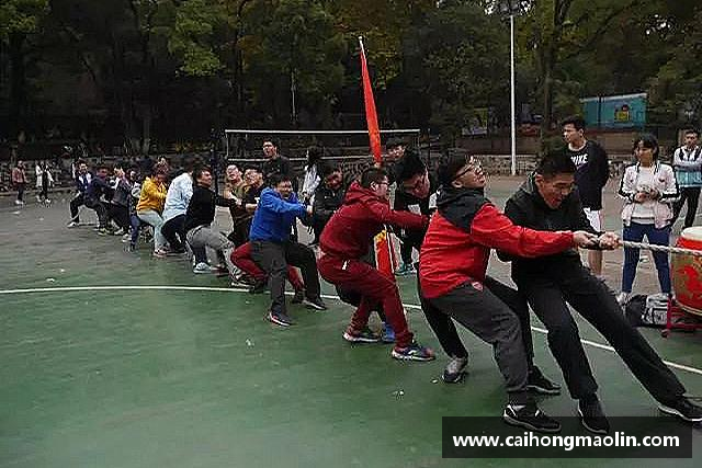 关于星空xk官网